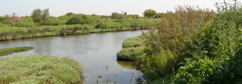 פארק, רשות נחל הקישון