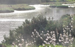 דוח ניטור אביב, רשות נחל הקישון
