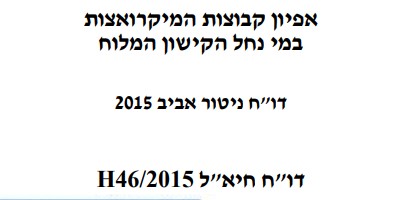 דוח ניטור, רשות נחל הקישון