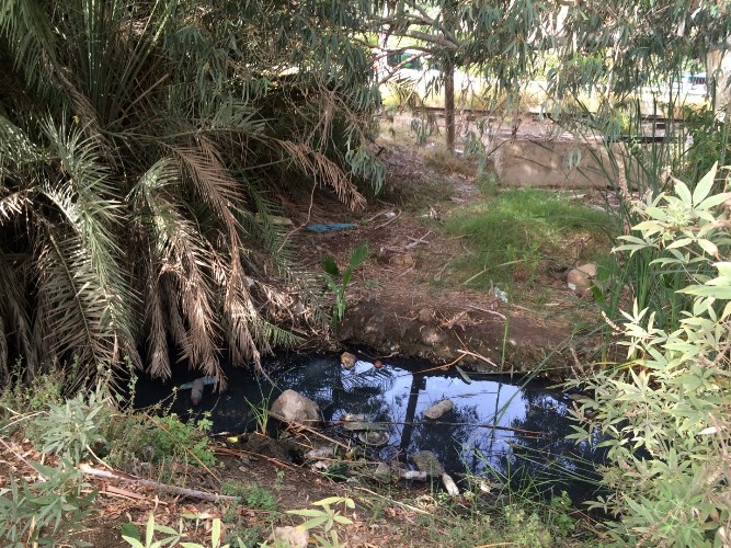 תעלת הניקוז בנחל סעדיה לפני העבודות (צילום: רקפת קובליו רוט, רשות נחל הקישון)