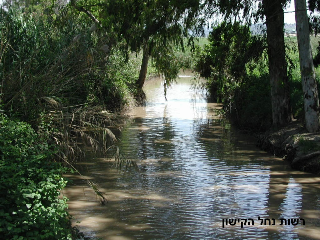 נוף, רשות נחל הקישון