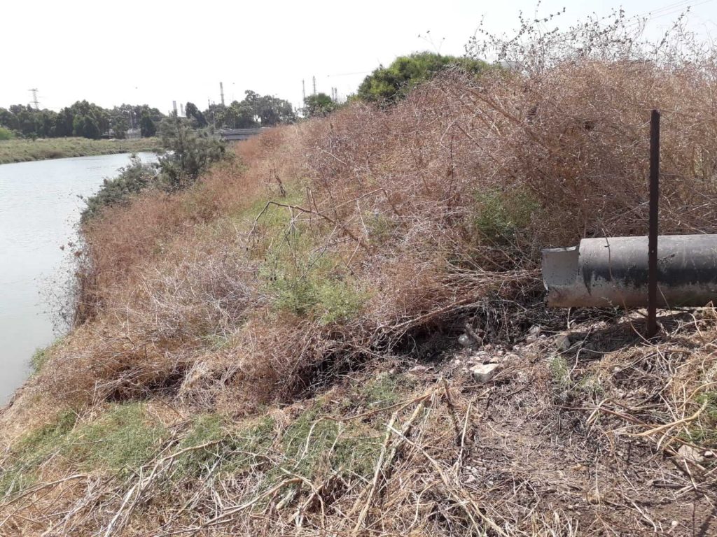 רשות נחל הקישון מבצע אכיפה משולב להסרת מפגע צינור שפכים