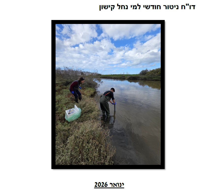 דו"ח ניטור חודשי ינואר 2026