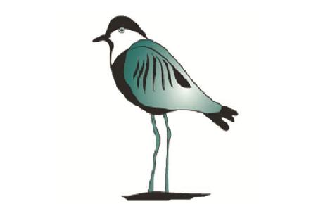 בריכות נשר- דוח סיכום ממצאי ניטור שנתי יוני 2021