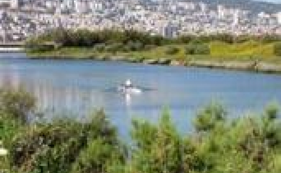 מהפכה בקישון- שיקום הנחל וחזרת החיים למימיו ולגדותיו