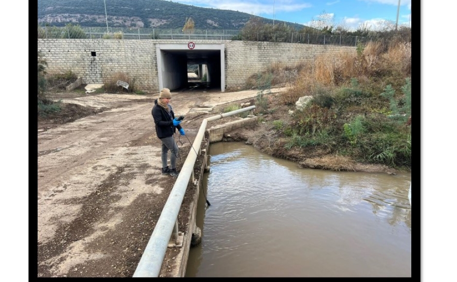 דו"ח ניטור חודשי אוקטובר 2024