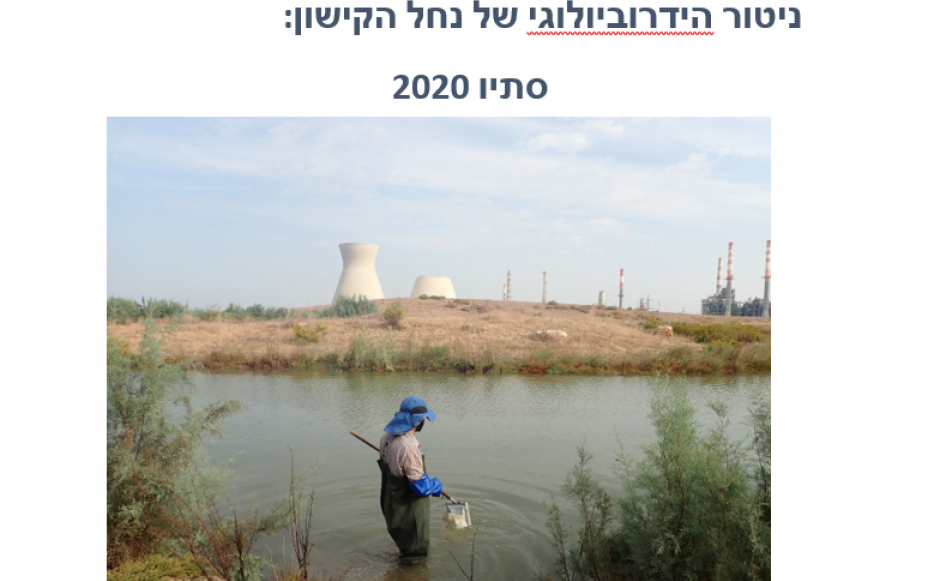 ניטור הידרוביולוגי של נחל הקישון: סתיו 2020