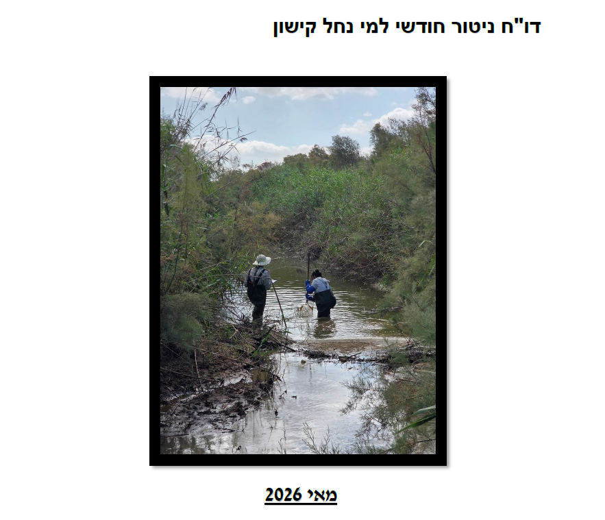 דו"ח ניטור חודשי מאי 2026