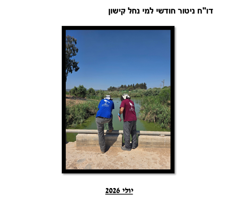 דו"ח ניטור חודשי יולי 2026